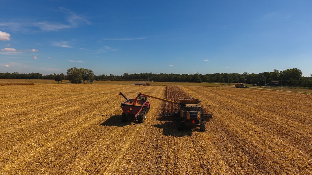 Understanding Tractors: Types, Features & Common Uses Explained