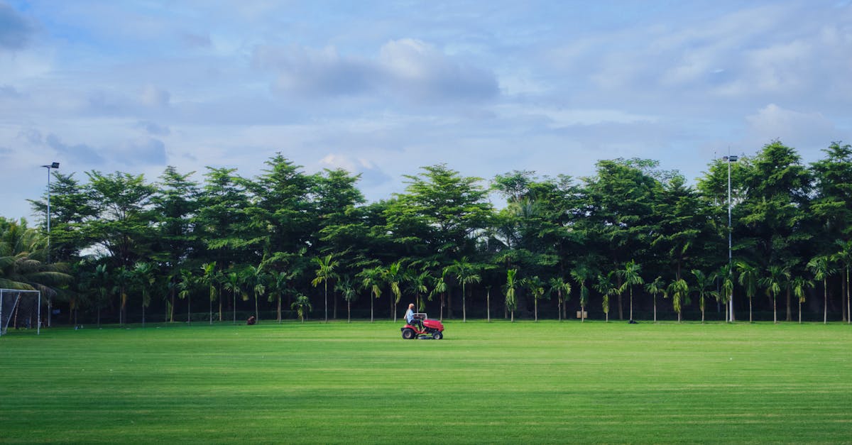The Lawn Care Manual